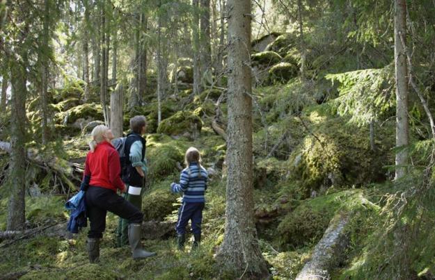 Familj på utflykt vid Trollberget i Ekopark Färna.