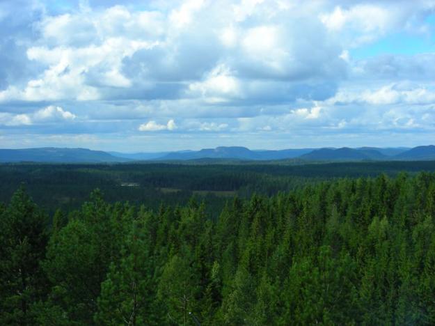 Skogsstyrelsen bedömer att kostnaden enbart för intrångsersättning i fjällnära områden kommer att uppgå till 360 miljoner kronor under år 2021.