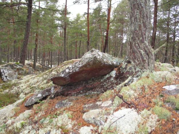 Naturreservaten Klyftamon och Stora Bjursjön utökas nu med ytterligare skog.