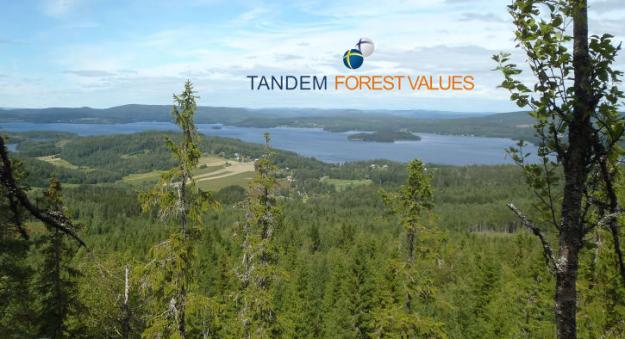 Projektet skapar långsiktigt samarbete mellan Sverige och Finland och stärker två redan framstående skogsnationer.