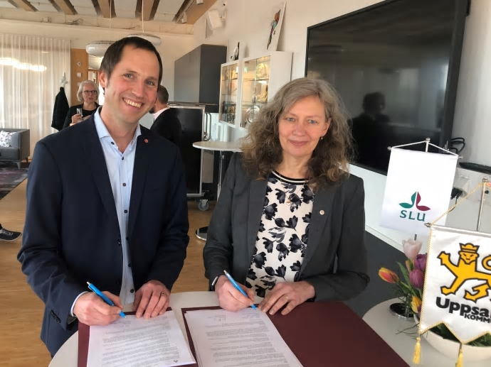 Kommunstyrelsens ordförande Erik Pelling (S) och SLU:s rektor Maria Knutson Wedel undertecknade på torsdagen ett samverkansavtal med fokus på hållbar samhällsutveckling.