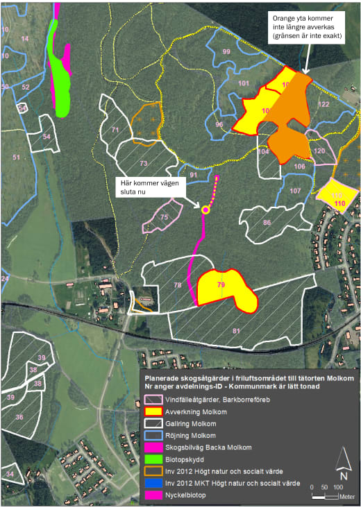 Karta över planerade skogsåtgärder i Molkom inklusive ändringar.