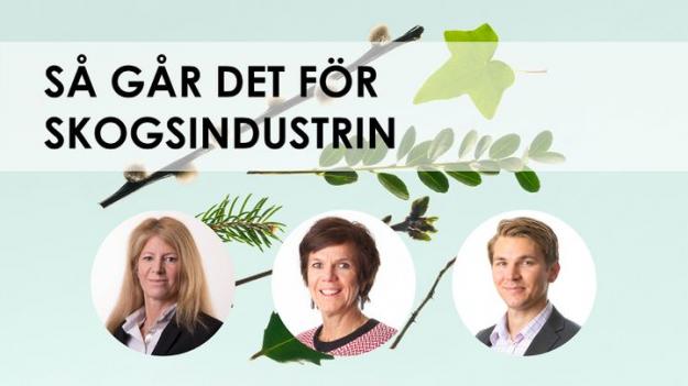 På bilden från vänster: Kerstin Hallsten, chefsekonom, Katrin Heinsoo, rådgivare - papper och massa, och Jakob Andrén, marknadsanalytiker - trävaror.