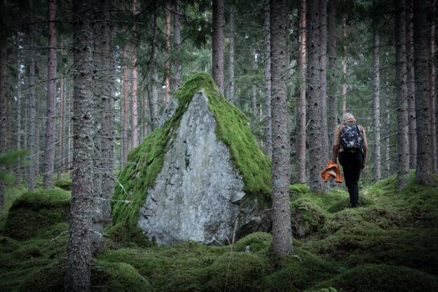 Skogen Kallar är ett verk av Malin Arnell och &Aring;sa Elzén.