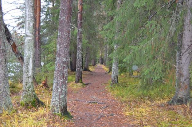 Knapperön är ett uppskattat område för vandring och friluftslivs som nu skyddas för att bevara naturvärden.