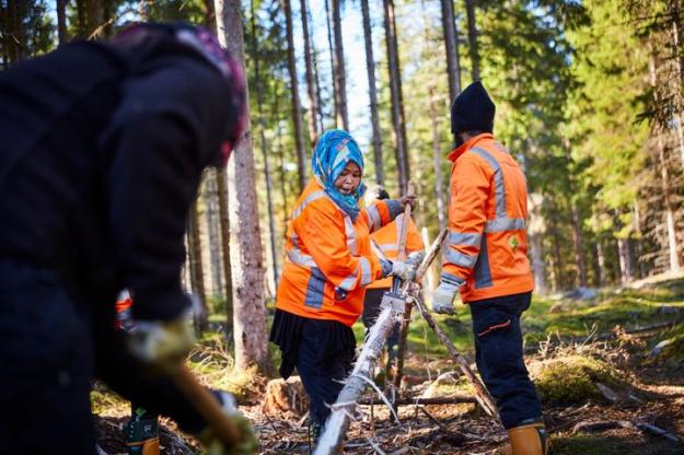 Redan nu är 200 anställda runt om i Sverige för att utföra naturnära arbeten som att sköta naturområden.