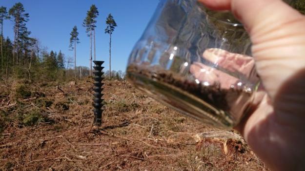 Nästan 20 miljoner granbarkborrar har hittills fångats i Skogsstyrelsens 2 700 granbarkborrefällor vid skyddade områden.