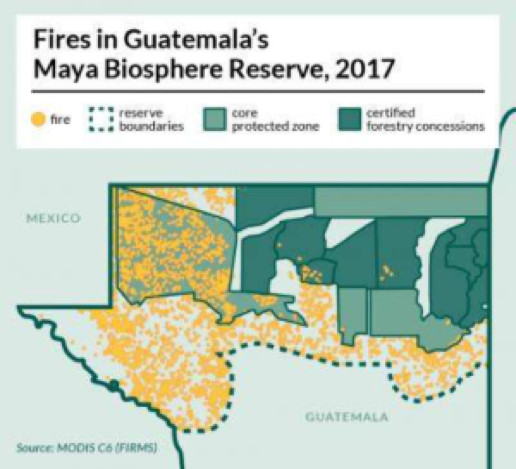 En satellitbild över Guatemalas Maya Biosphere Reserve visar hur bränder – som ofta beror på avskogning till förmån för jordbruk – spred sig under 2017 års torrperiod. De mörkgröna områdena med knappt några bränder ingår skogskoncessionerna som brukas av lokalbefolkning som arbetar tillsammans med Rainforest Alliance.