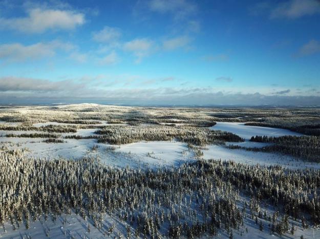 Vy över Skatträsk i Arvidsjaur. Sveaskog avyttrar en sammanhängande skogsegendom på cirka 180 hektar med sjöar i det vackra och kuperade Tjärnheden-landskapet i Skatträsk, Arvidsjaur.
