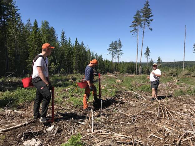 Arbetsledaren Jonas Morsing kontrollmäter och ger instruktioner till Albin Morsing och Adam Nordberg.