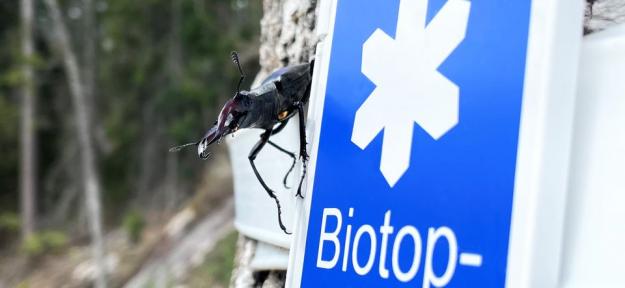 Biotopskydd är en av formerna för formellt skyddad skog som Skogsstyrelsen handlägger.