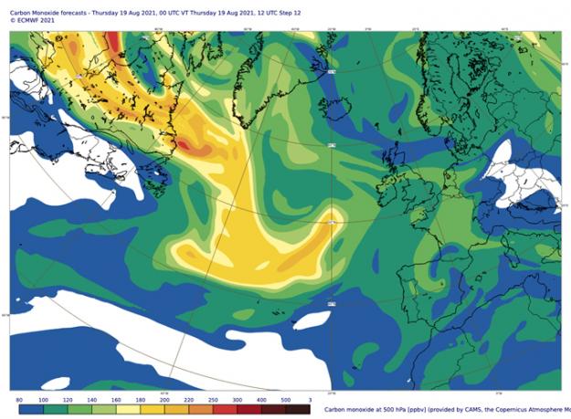 <span><span><span>CAMS kolmonoxidblandningsförhållande vid 500 hPa (ca 5 km) prognos giltig för 12 UTC den 19 augusti visar rök från nordamerikanska bränder över Atlanten.</span></span></span>