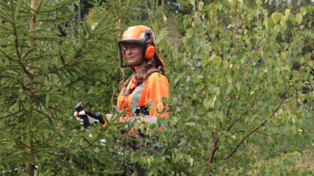 Hur anläggs en blandskog? Det kan vi lära oss på Skogskunskap.se och i filmen ”Blandskog – en mångfald av valmöjligheter\