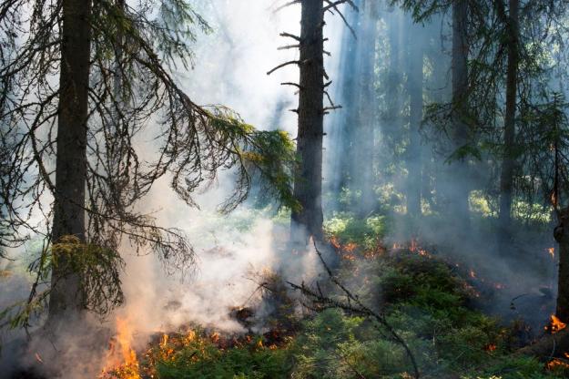 Ett nytt skogsbrandvärn i &Ouml;sthammar ger brandförsvaret extra styrka framöver.