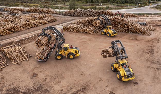 Volvo CE har djupa rötter när det gäller att förstå skogsbrukets behov. Avverkningsindustrin tog stora steg när Volvo lanserade den första höglyftande hjullastaren 1974 – och har inte blickat tillbaka sedan dess, Maskinen är idag vanligt förekommande på timmergårdar över hela världen.