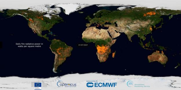 Grafik: Animering av global skogsbrandsaktivitet den 31/07/2021 visar skogsbränder i Sibirien, Nordamerika och runt Medelhavet.