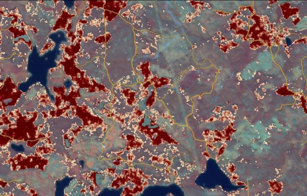 Riskkarta som skogsägare kan ta fram i Mina sidor. Ju mörkare röd färg, desto högre risk för granbarkborreangrepp (bilden är en illustration).