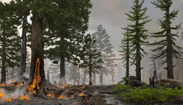 Under jordens värsta massutdöende drabbades stora våtmarker av skogsbränder och världens största kolsänkor omvandlades till kolkällor.