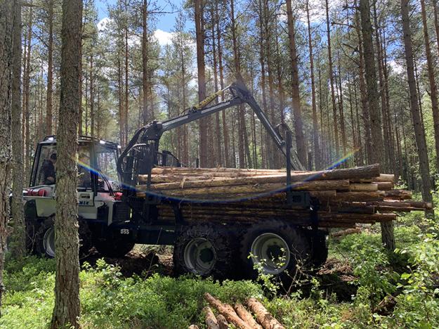 Vimek 870.1 NG vinner Forest Machine of the year 2022.