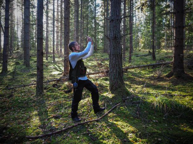 Innovationen Arboreal Trädhöjd bygger på AR, Augumented Reality-teknik, och har tagits fram så att skogsägare enkelt ska kunna samla in och sortera skogdata digitalt.