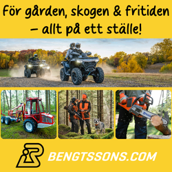 Bengtssons