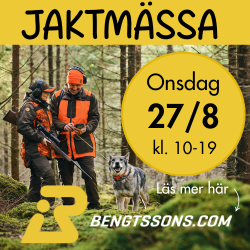 Bengtssons Jaktmssa