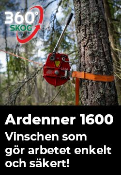 360 grader skog